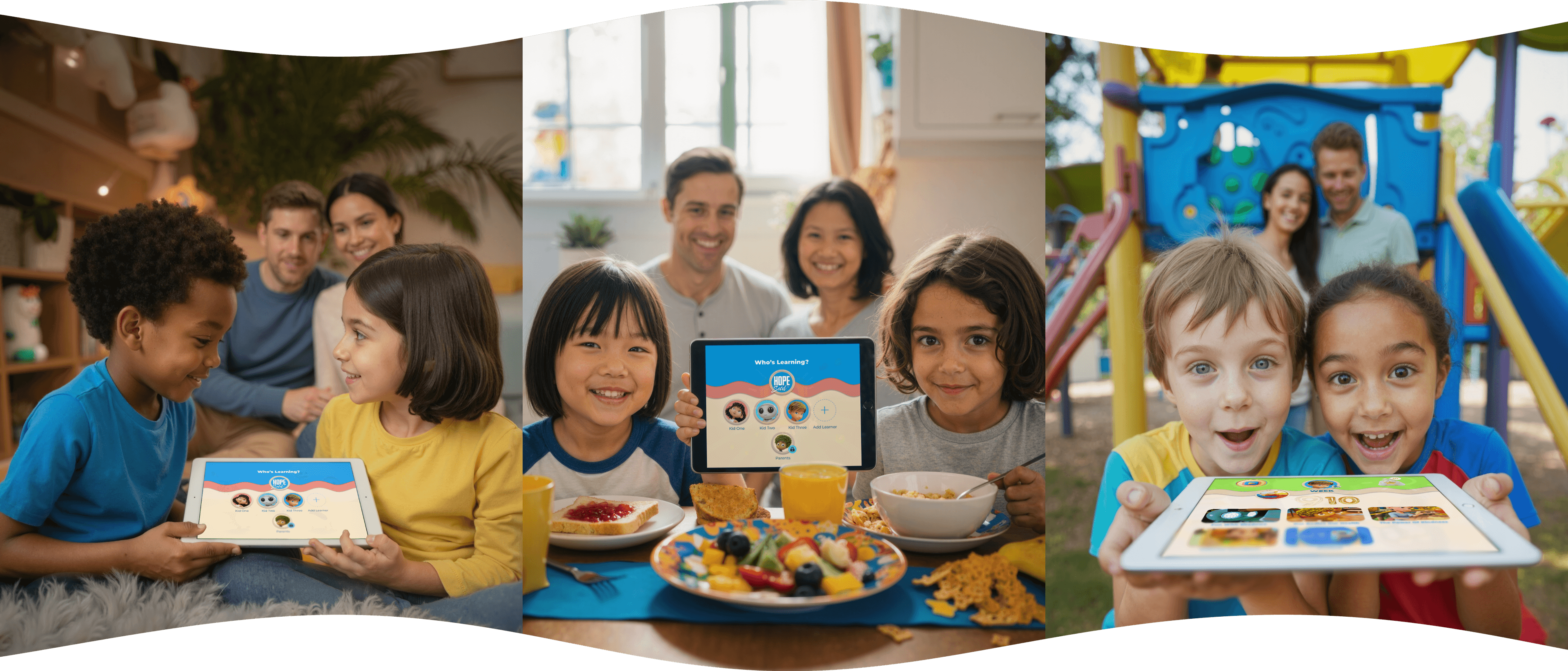 Family gradient section